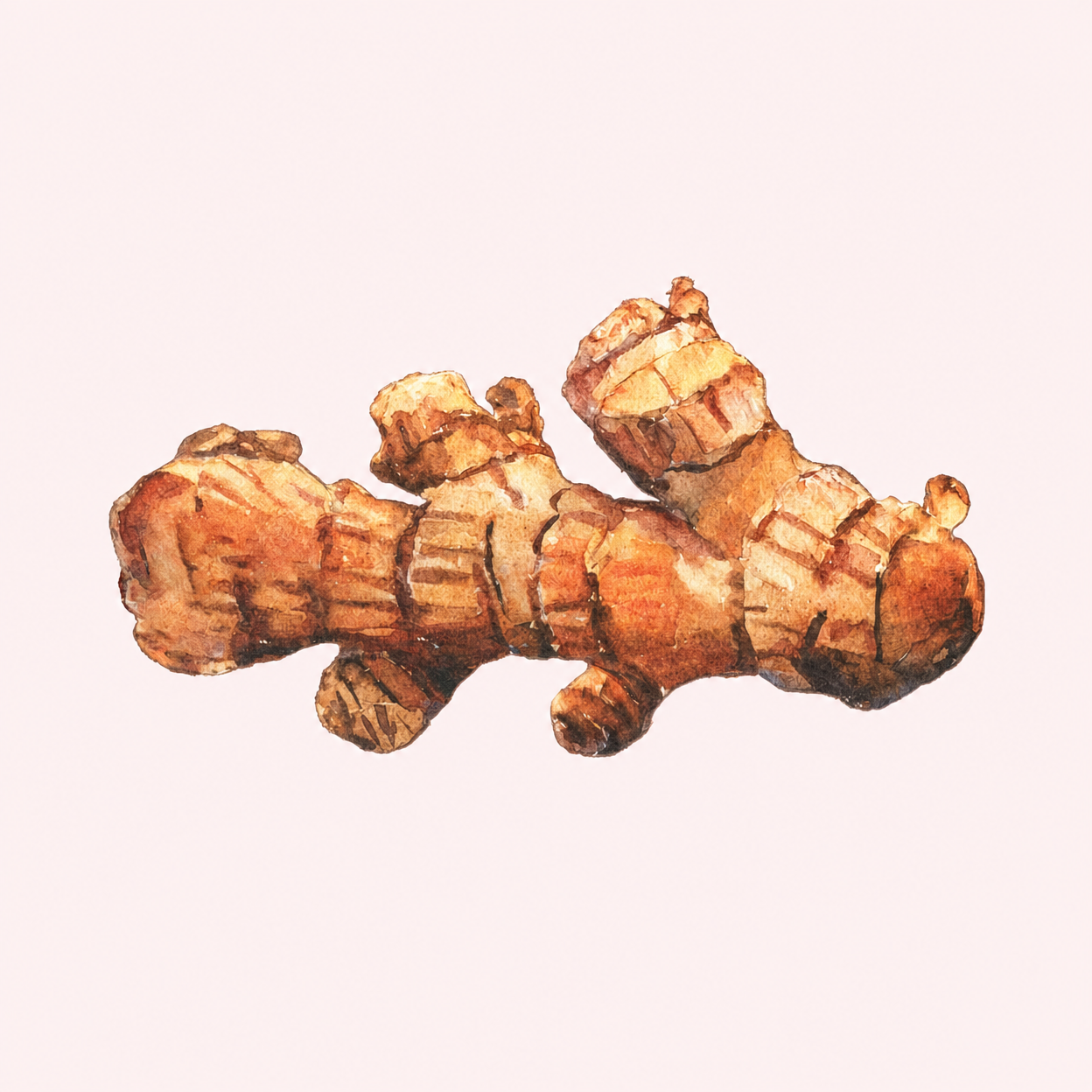 Turmeric Extract ingredient photo