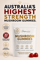 Mushroom 10x