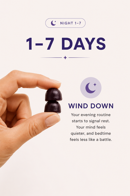 The Nervous System Reset