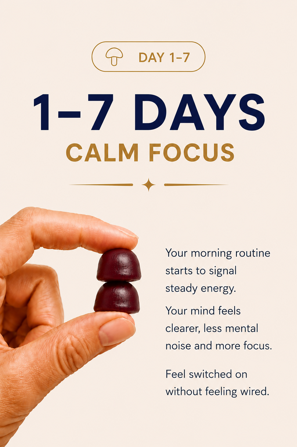 The Nervous System Reset