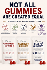 The Nervous System Reset