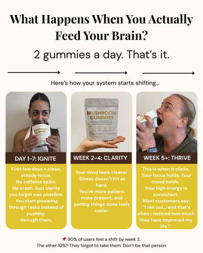 Back In Control Bundle