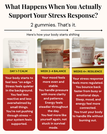 Back In Control Bundle