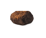 Chaga mushroom icon