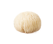 Lion’s Mane mushroom icon