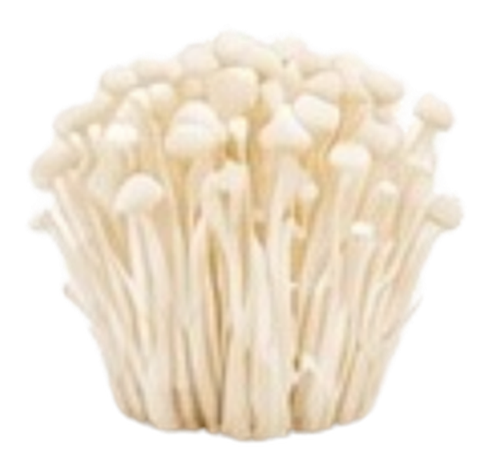 Needle Mushroom mushroom icon