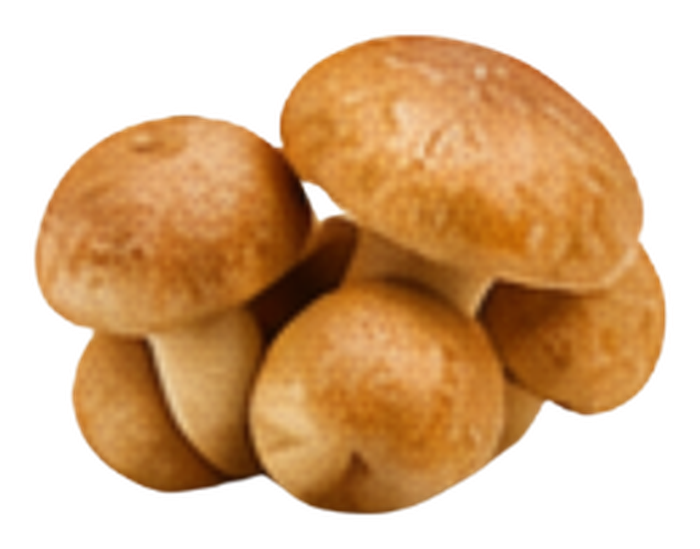 Royal Sun mushroom icon