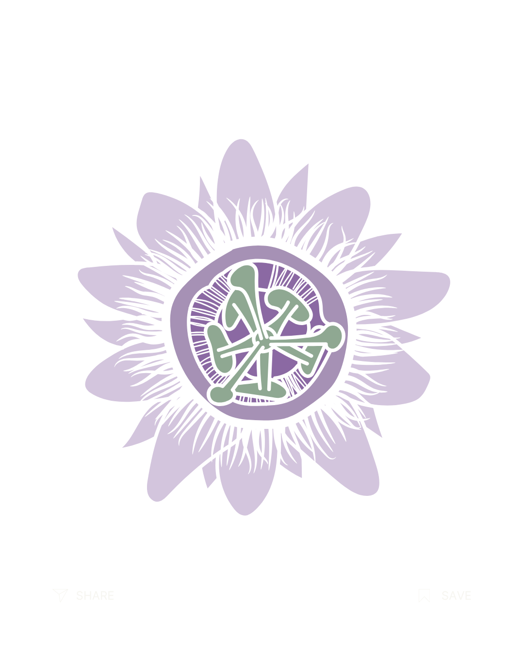 Passionflower Extract ingredient